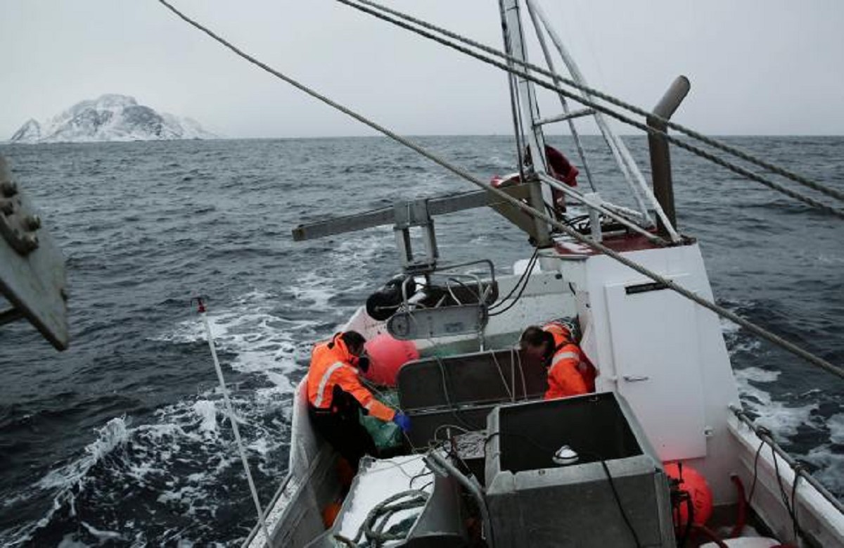 Alta INP vil grunnlovsfeste fiskerettigheter