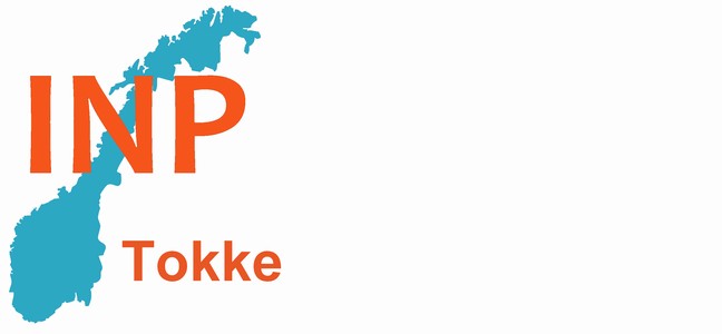 Industri- og nringspartiet Tokke