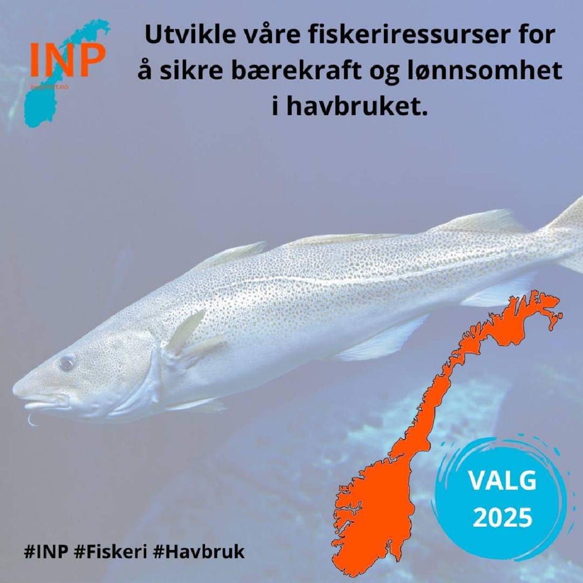 INP mener Et klart nei til trusler fra skalte venner