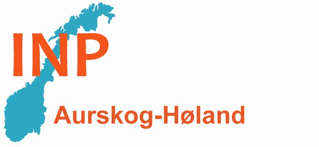 Industri- og næringspartiet Aurskog-Høland