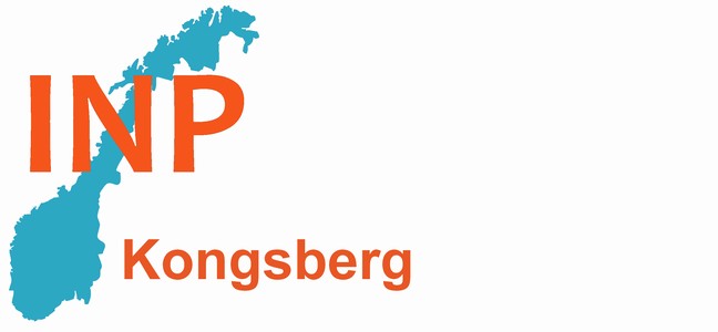 Industri- og nringspartiet Kongsberg